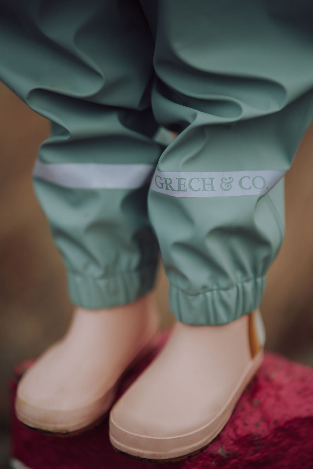 Continuity as Belonging | October 29, 2025