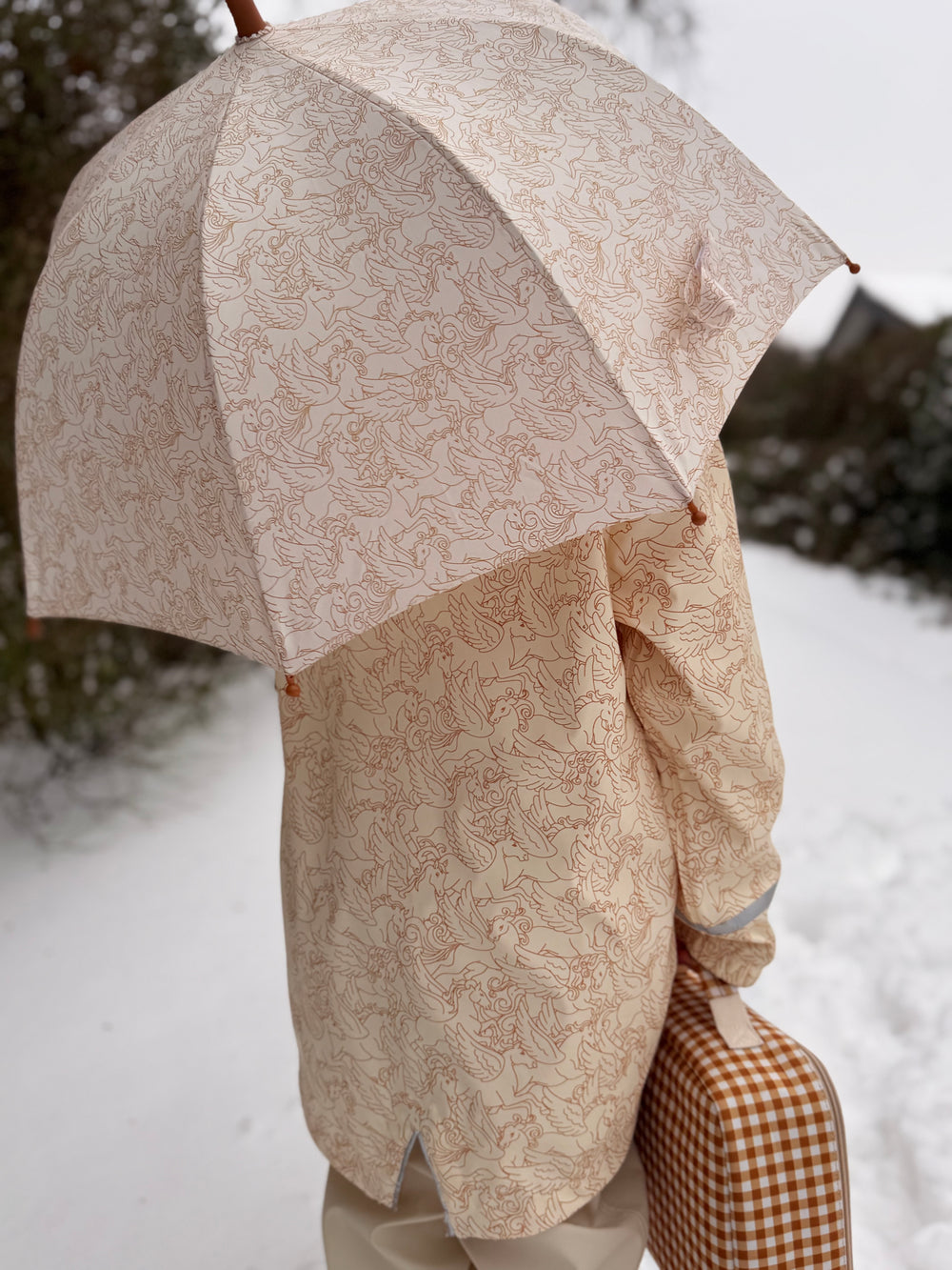 Rain + Sun Umbrella | Pegasus