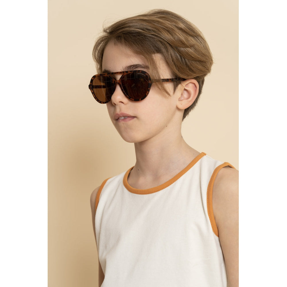 Aviator | Polarized Sunglasses | Tortoise | Pre-Order SS27