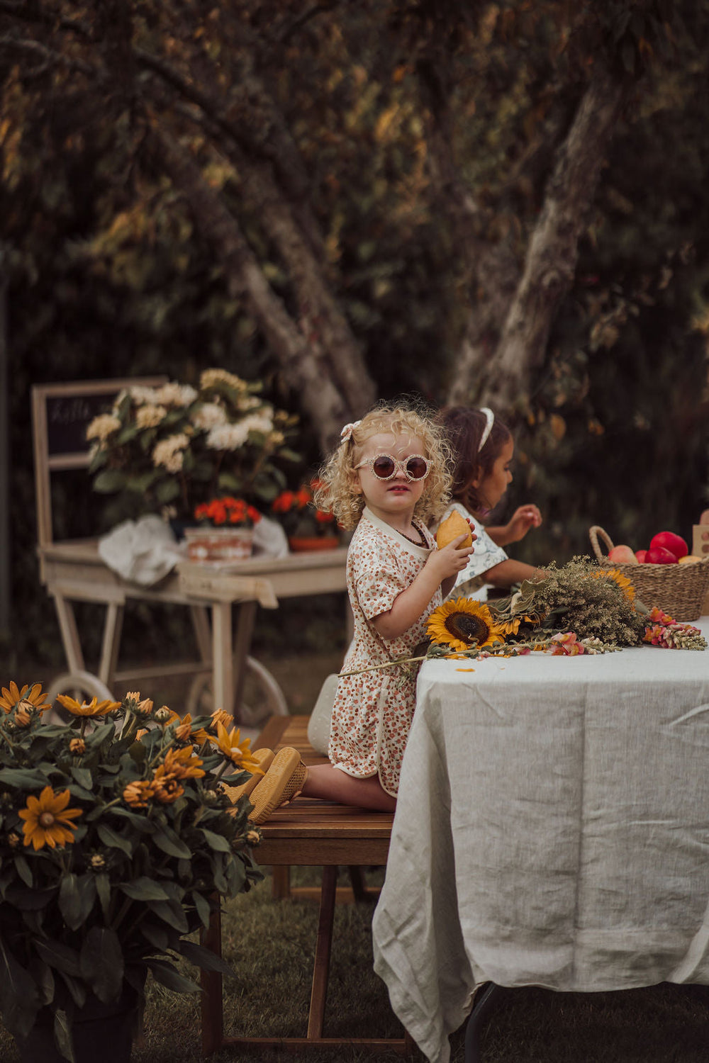 Original Round Sustainable Sunglasses | Bio-Based  Bendable Polarized | Sunset Meadow