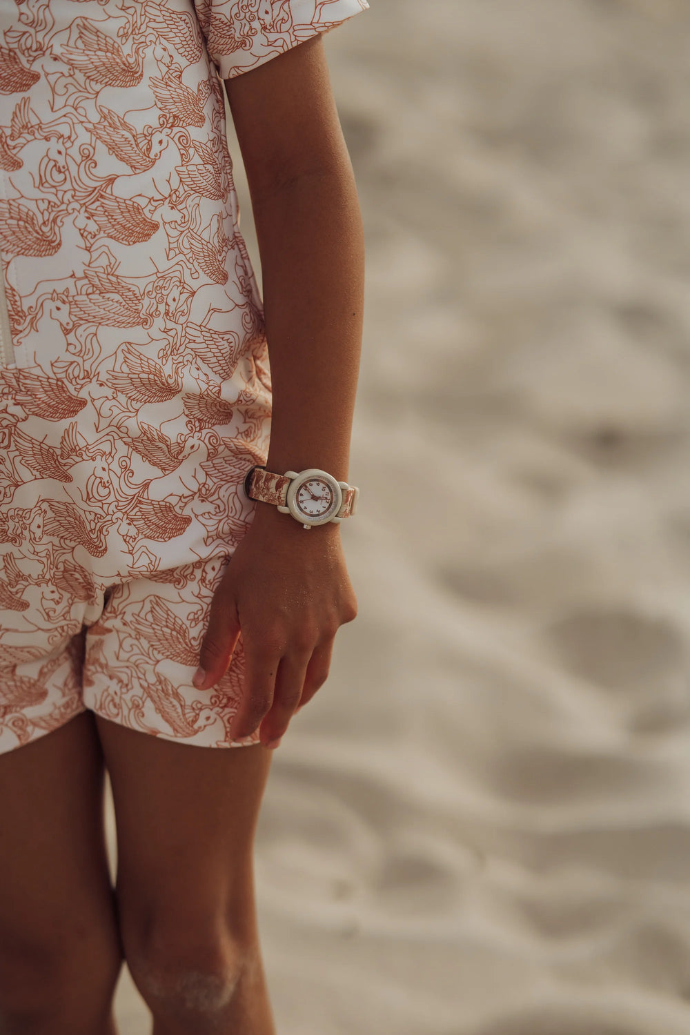 Classic Watch | Silicone + Stainless Steel | Pegasus