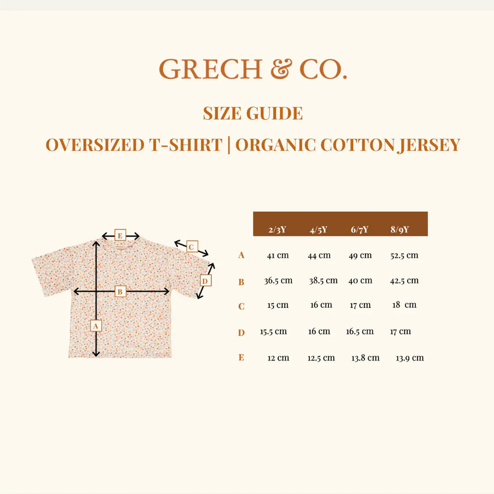 Oversized T-Shirt | Organic Cotton Jersey - Pegasus | Pre-Order SS27