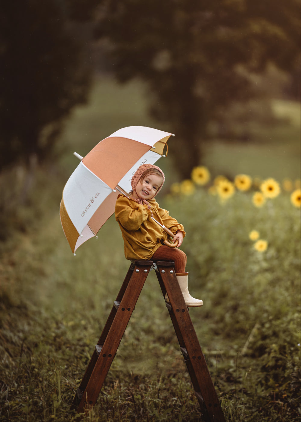 Parapluies de pluie durables - Shell