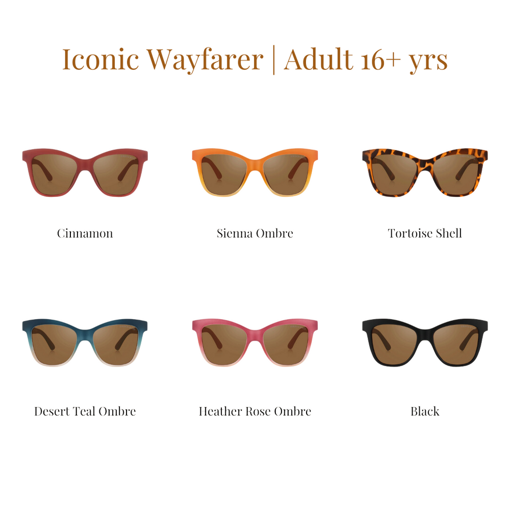 Iconic Wayfarer Ombre | Polarized Sunglasses | Black | Pre-Order SS27